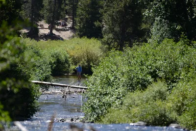 DSC_3633 (Large).JPG